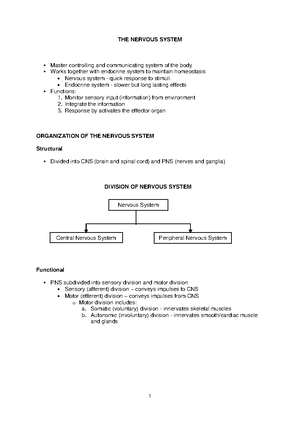 Anatomy report - example - FACULTY OF SPORT SCIENCE AND RECREATION ...