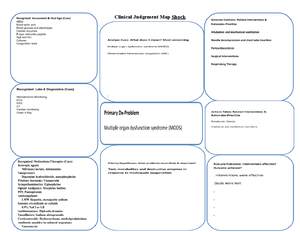 NURS 481L - Patient Profile Database - PATIENT PROFILE DATABASE Date ...