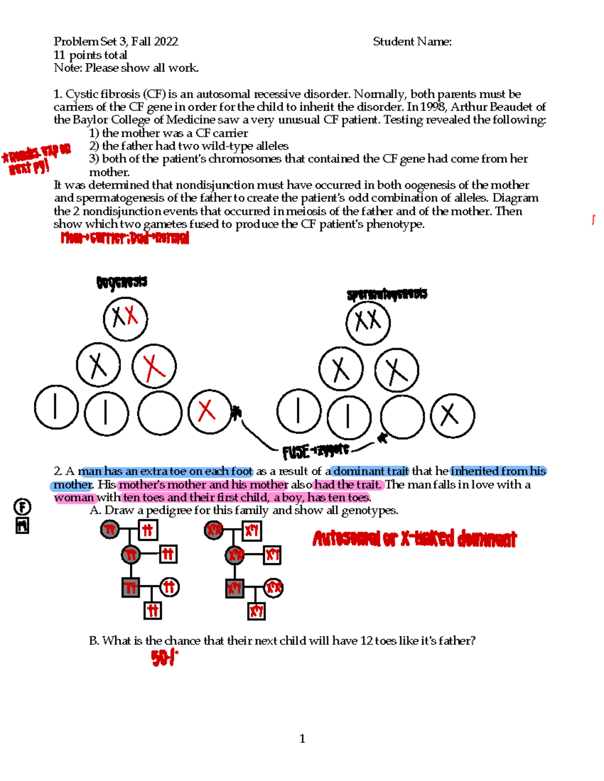 Mother's Day Genetics: How long does a mother “carry” a child? - Ariel  Insights