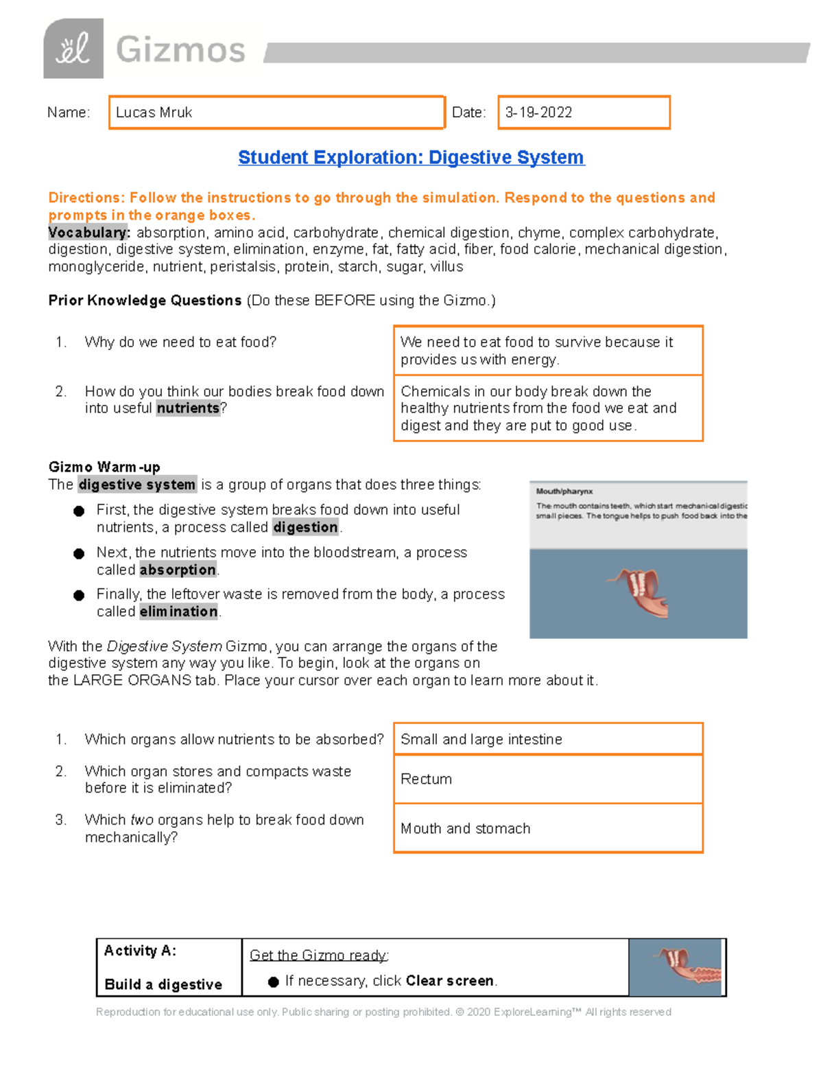 copy-of-digestive-system-gizmo-student-exploration-sheet-name-lucas