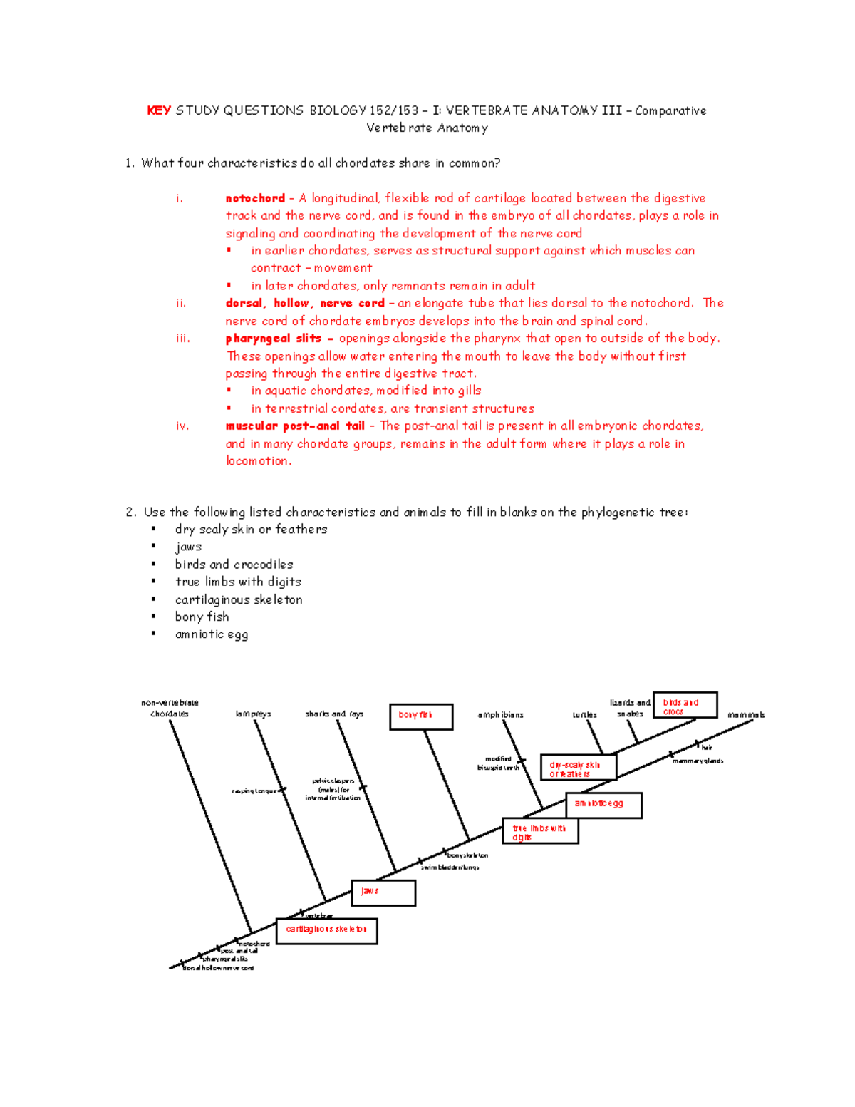 Key Study Questions 152 Vertebrate Anatomy Three Comparative Verte Anatomy Studocu