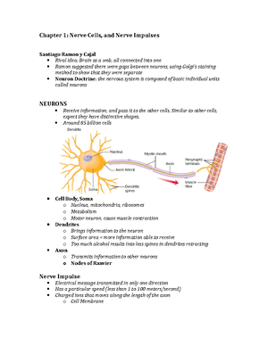 Chapter 4- Neural Conduction and Synaptic Transmission - In Vitro ...