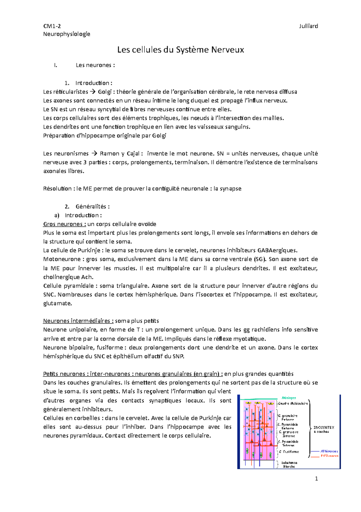 CM1 CM2 - Notes de cours 1-2 - CM1-2 Neurophysiologie Julliard Les ...