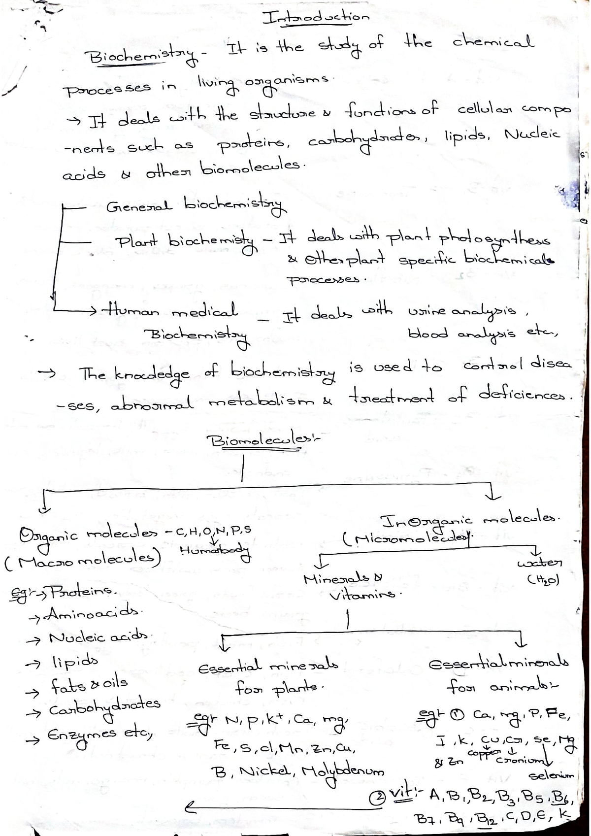 Unit 1 Biochemistry - Biochemistry-IV - Studocu