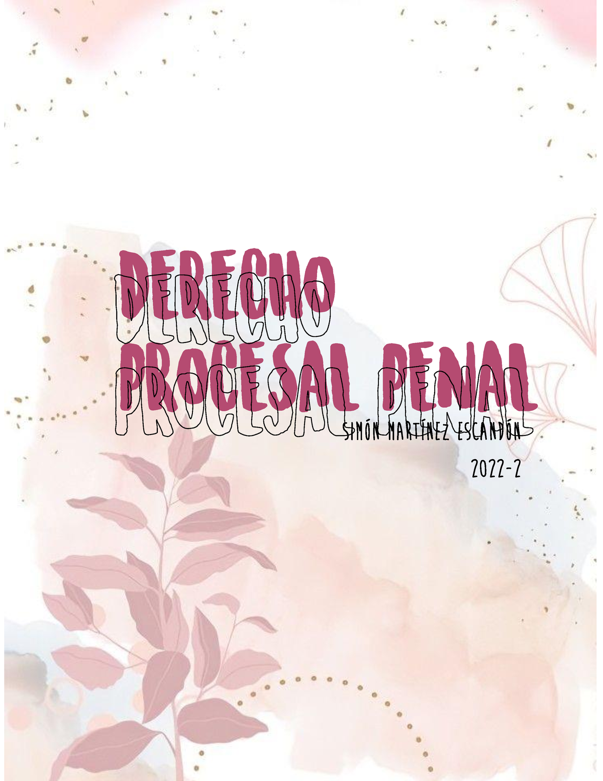 Derecho Procesal Penal Borrador - SimÛn MartÌnez EscandÛn 2022 - 2 02 ...