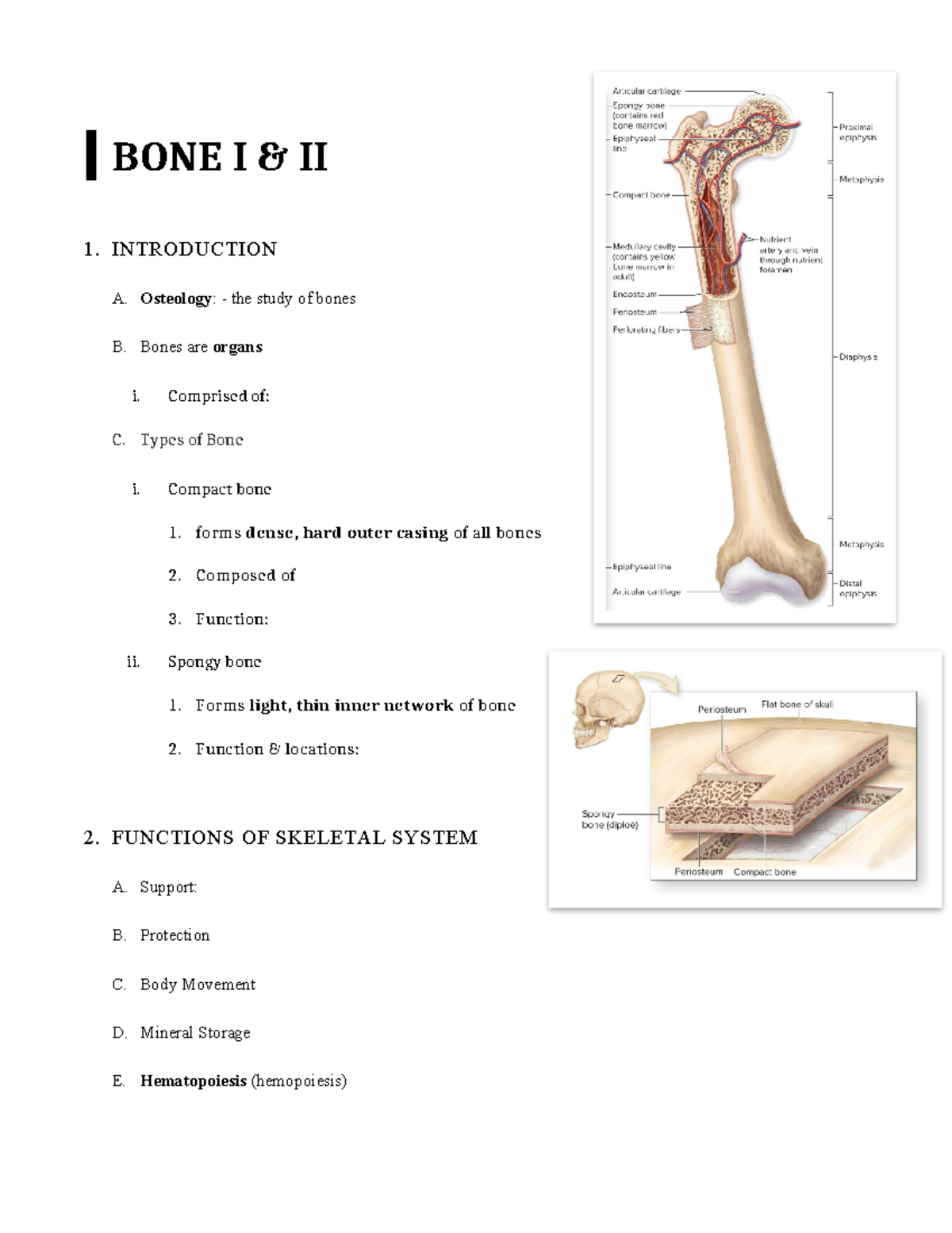 05 Bone - wrt - BONE I & II 1. INTRODUCTION A. Osteology: - the study ...