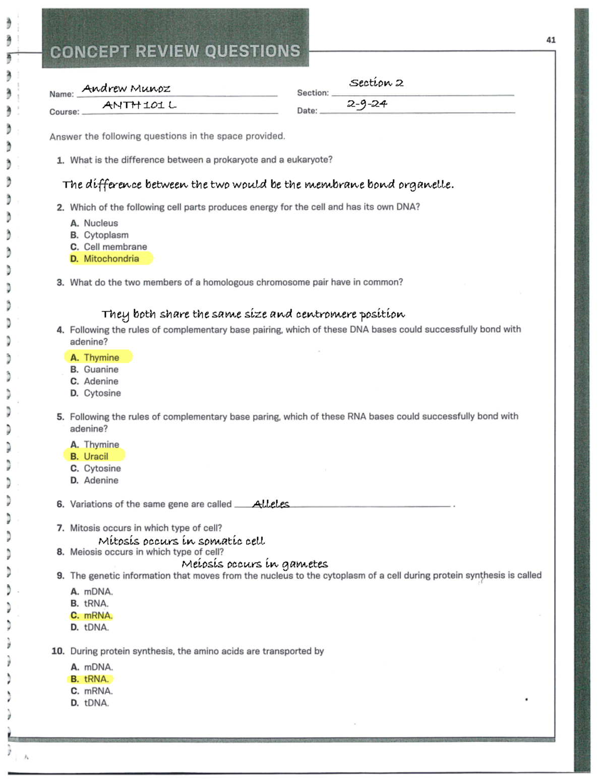 Chapter+2+Lab+ Worksheets-1 - They both share the same size and ...