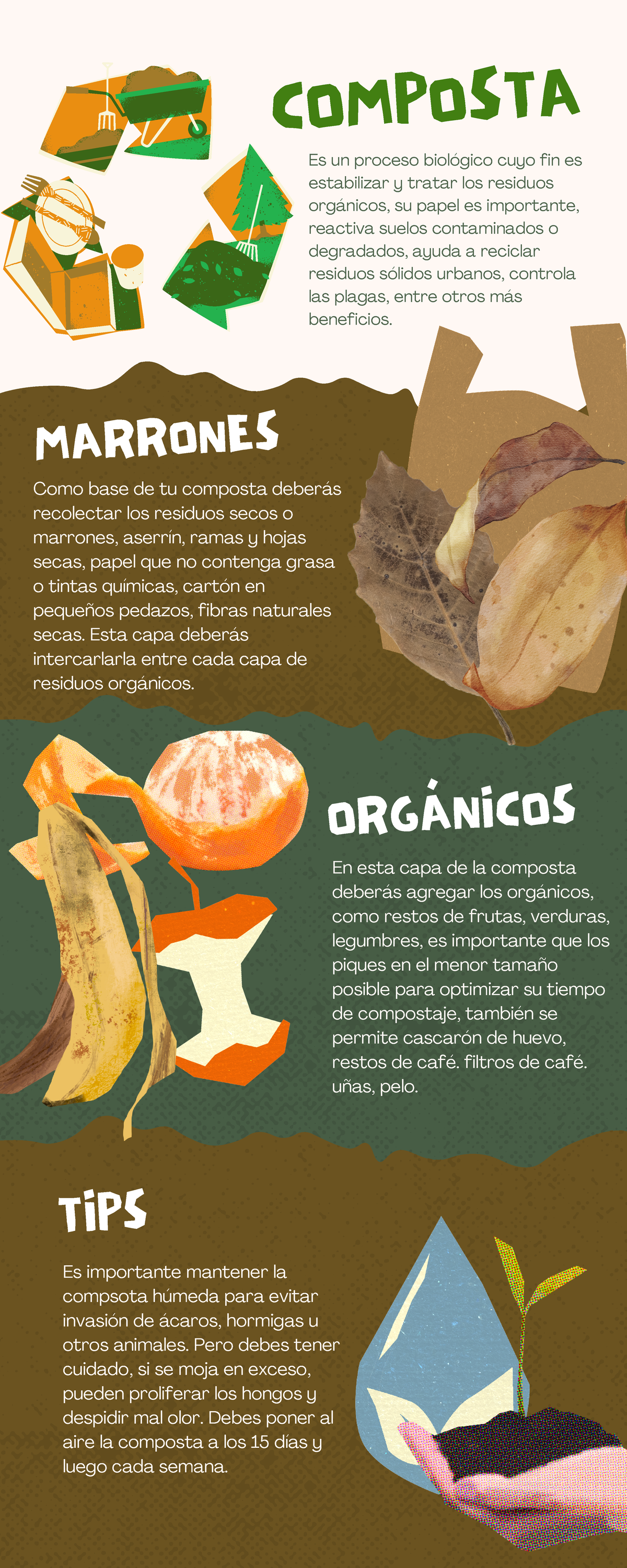 Infografía Composta Collage Verde y Marron - COMPOSTA Es un proceso ...