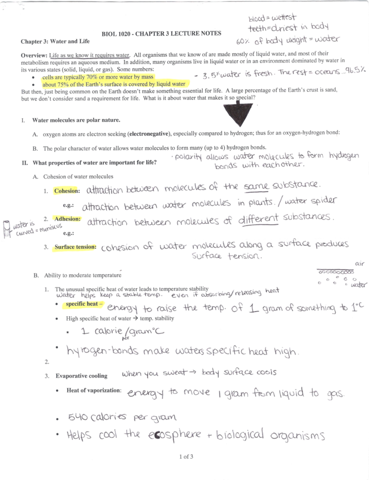 Chapter 3 Notes Biol 1020 Biol 1020 Studocu Chapter 3 Notes Biol 1020 Biol 1020 Studocu