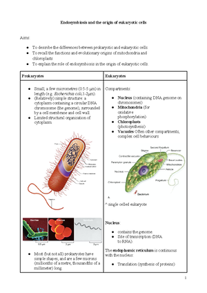 Overview of Invertebrate Metazoa - structures that provide support ...