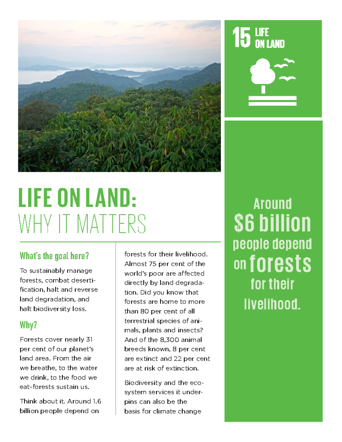 Forests AND Biodiversity - LIFE ON LAND: WHY IT MATTERS the goal here ...