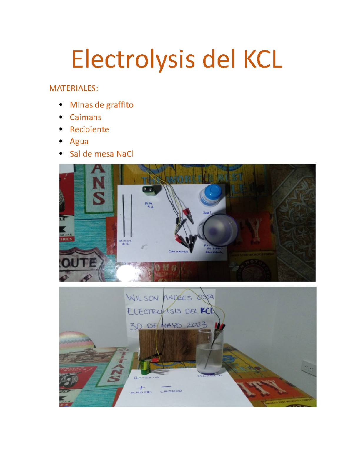 Electrolysis del KCL pracdtica Electrolysis del KCL MATERIALES