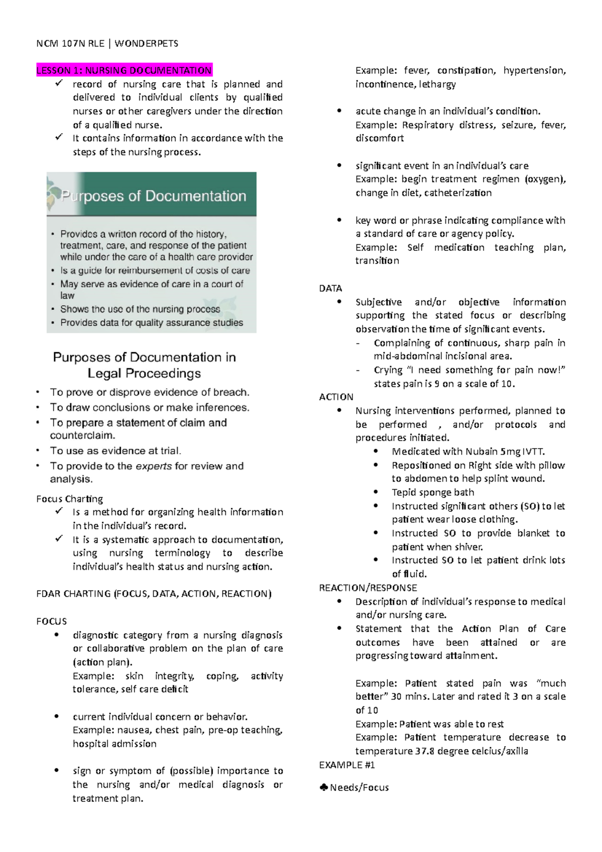 NCM 107N RL Reviewer LESSON 1 NURSING DOCUMENTATION record of