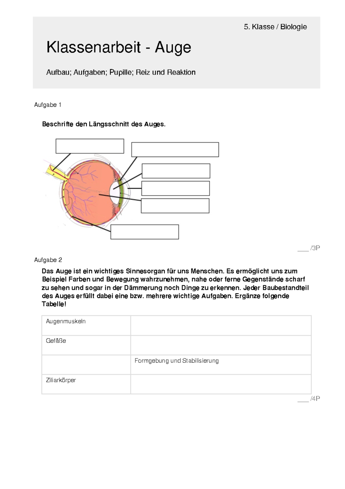 1926 - ___ /3P 5. Klasse / Biologie Klassenarbeit - Auge Aufbau