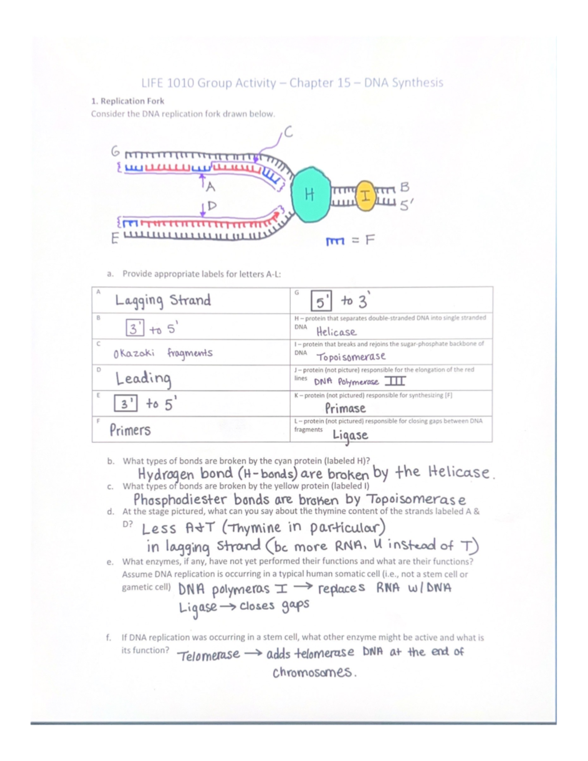 LIFE 1010 Group Activity Chapter 15 LIFE 1010 Studocu