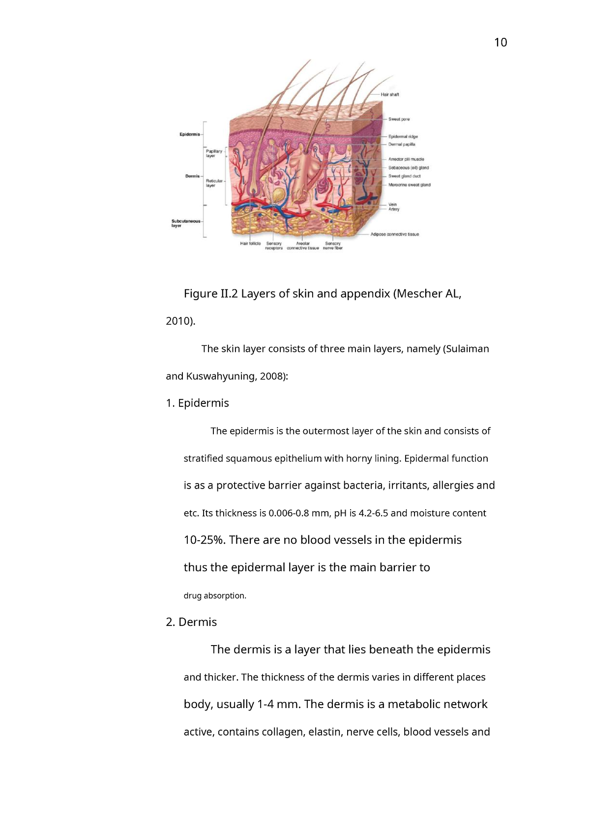 Management risk-4 - Task - 10 Figure II Layers of skin and appendix ...