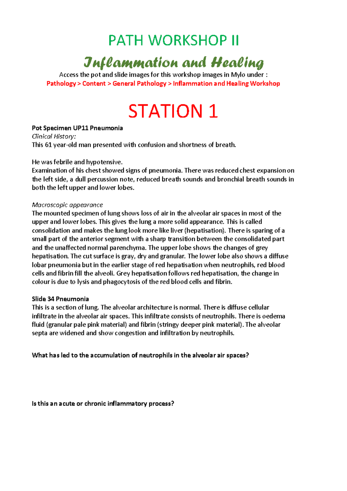 Pathworkshop Healing Worksheet 2021 - PATH WORKSHOP II Inflammation and ...