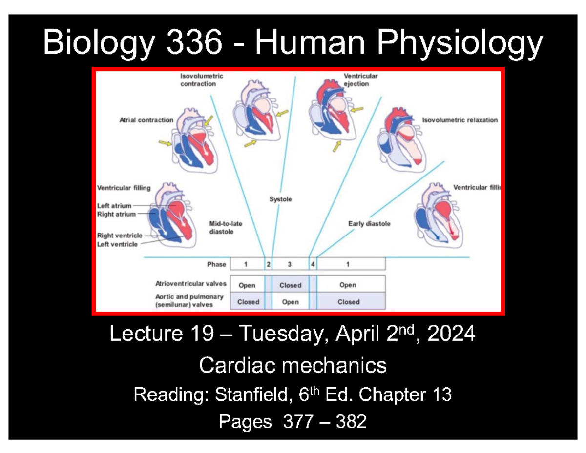 Lecture+19+Cardiovascular+physiology+III+Cardiac+mechanics - Biology ...