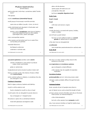 Phylum Annelida - General Zoology Lecture Notes and Handout - Animals ...