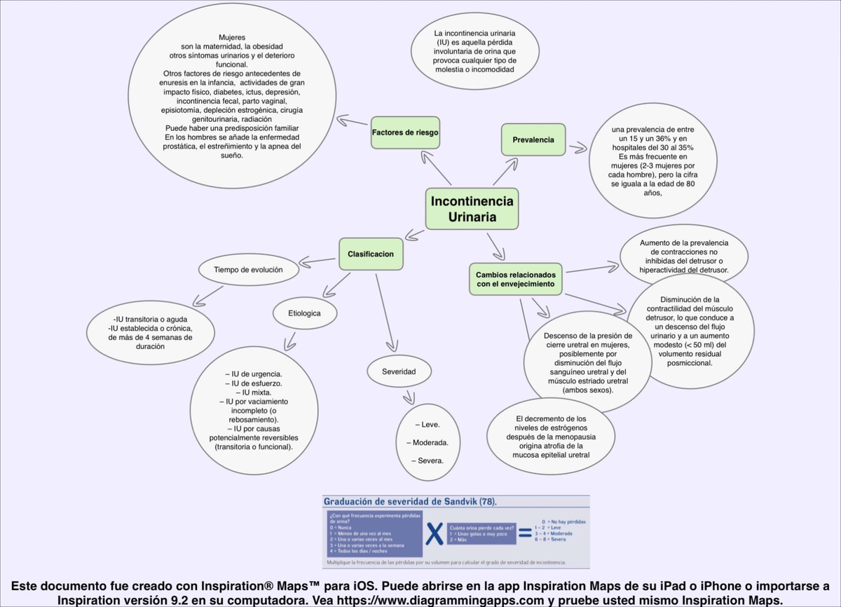 Incontinencia Urinaria en el Adulto Mayor Geriatría - Mujeres son la  maternidad, la obesidad otros - Studocu