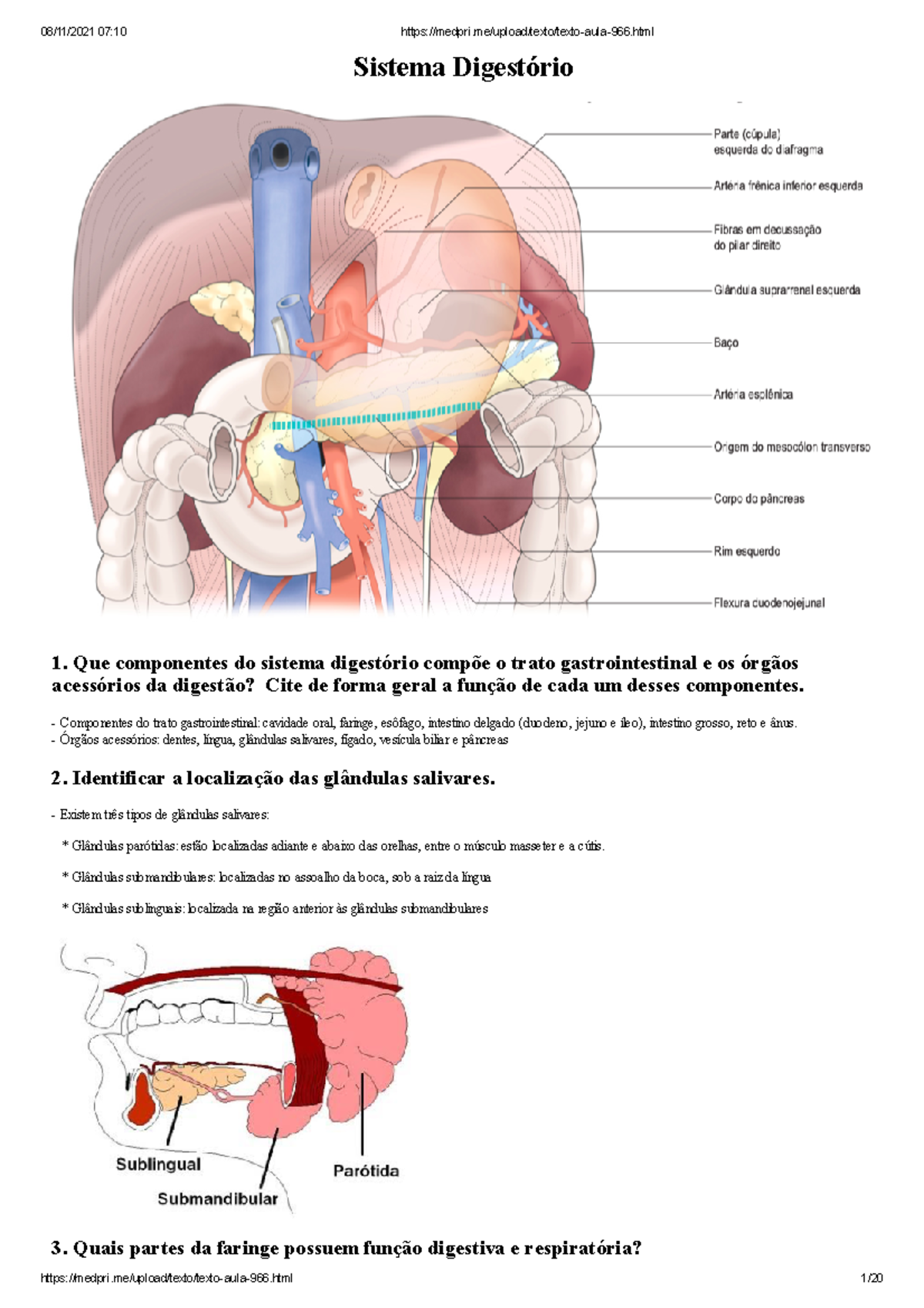 Resumo Sistema Digestório - ANATOMIA - Sistema Digestório 1. Que ...