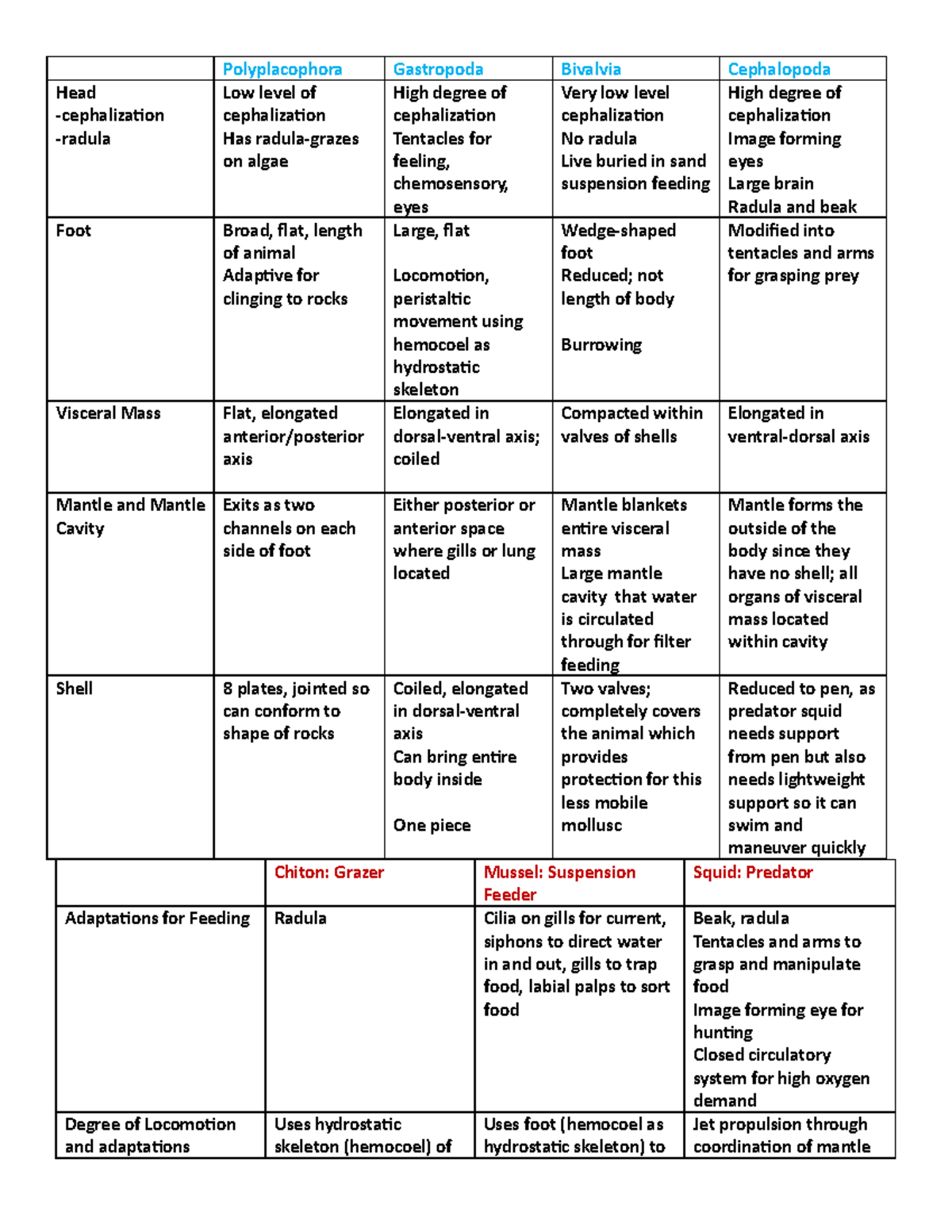 Mollusca Class Chart Answers - Polyplacophora Gastropoda Bivalvia ...