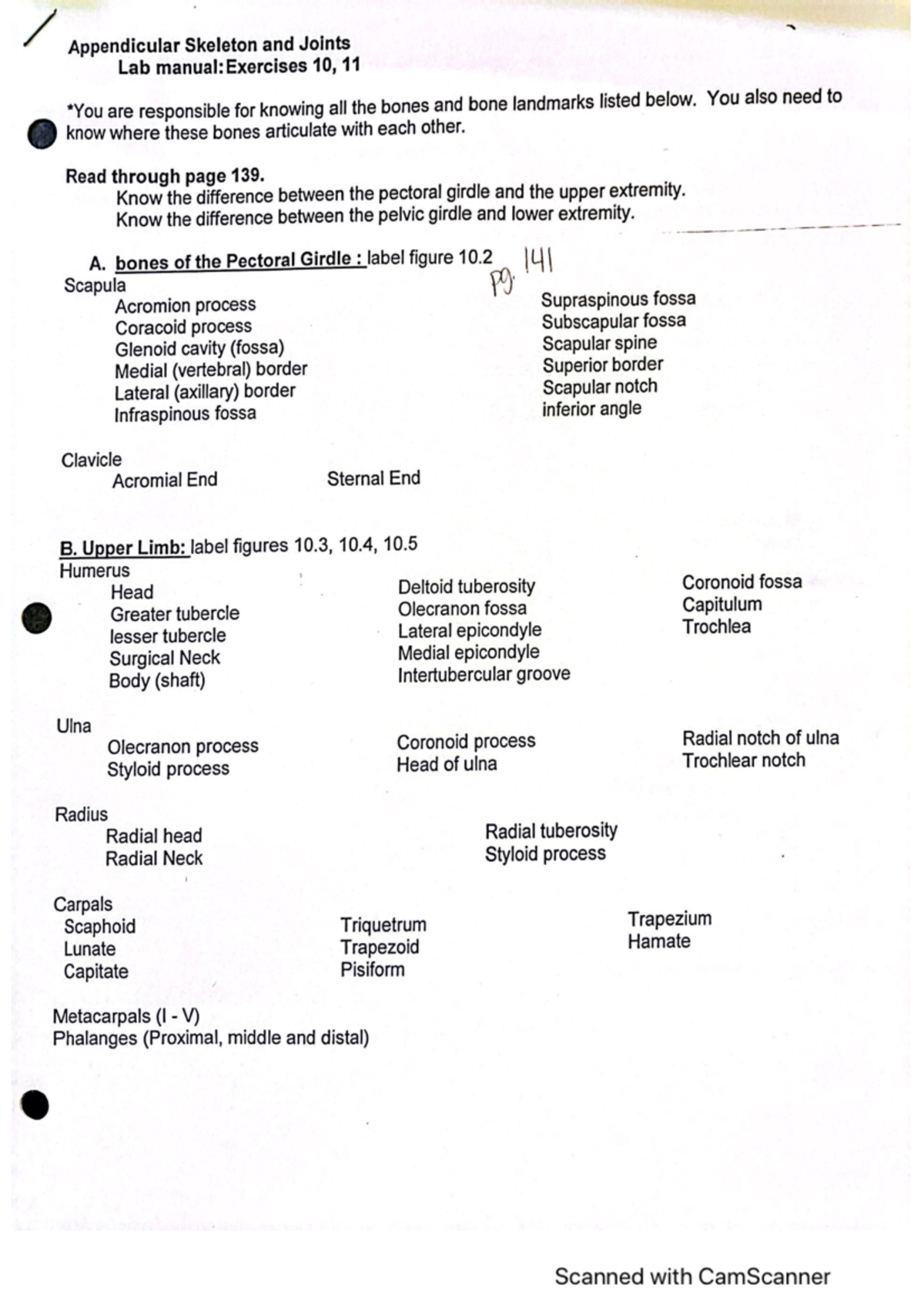Appendicular Skeleton and Joints Exercise - BIOL 141 - Studocu