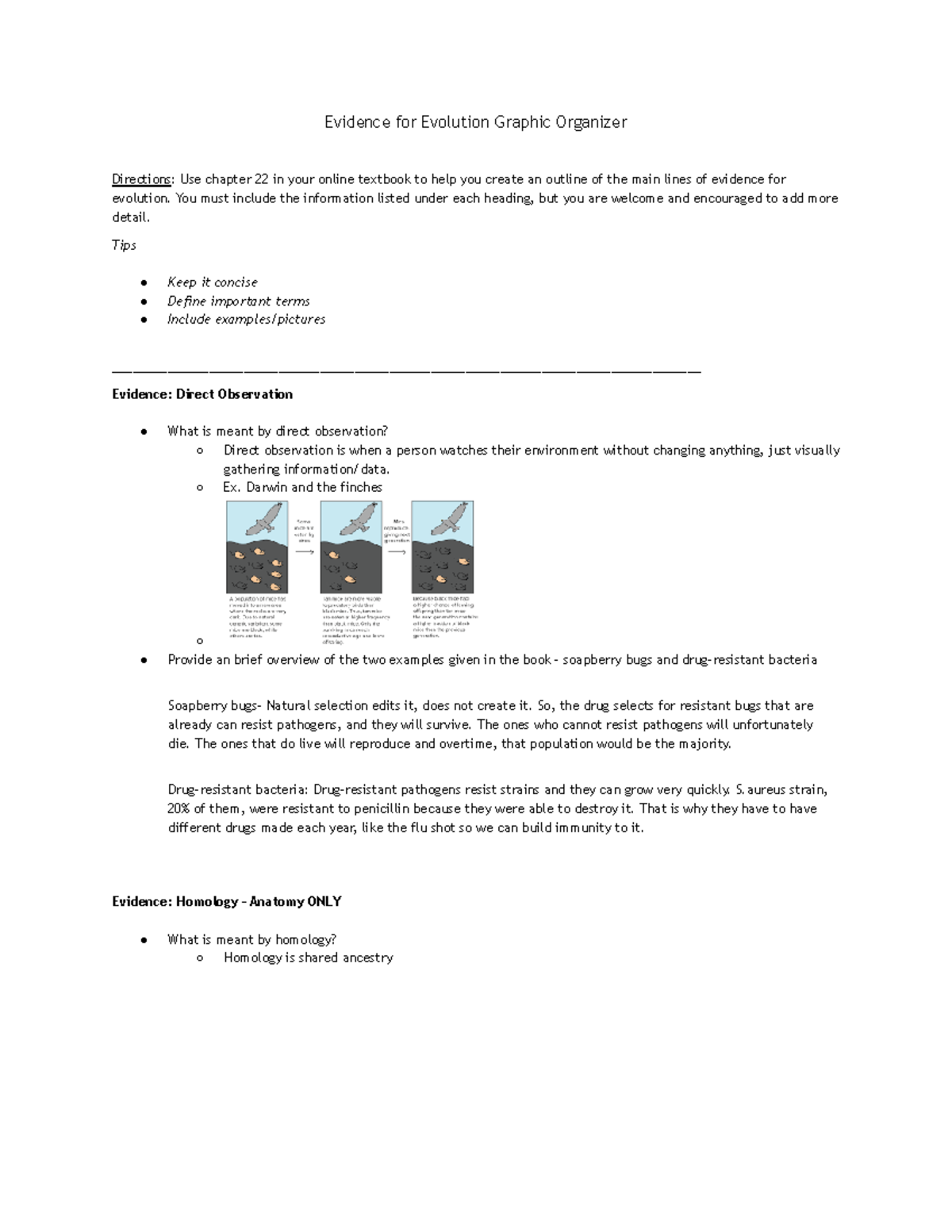 Evidence for Evolution Graphic Organizer Evidence for Evolution