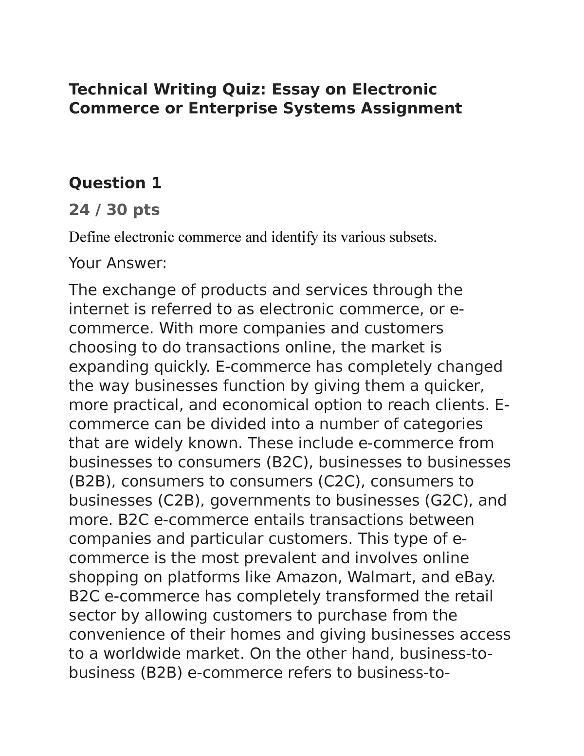 essay on electronic commerce or enterprise systems assignment