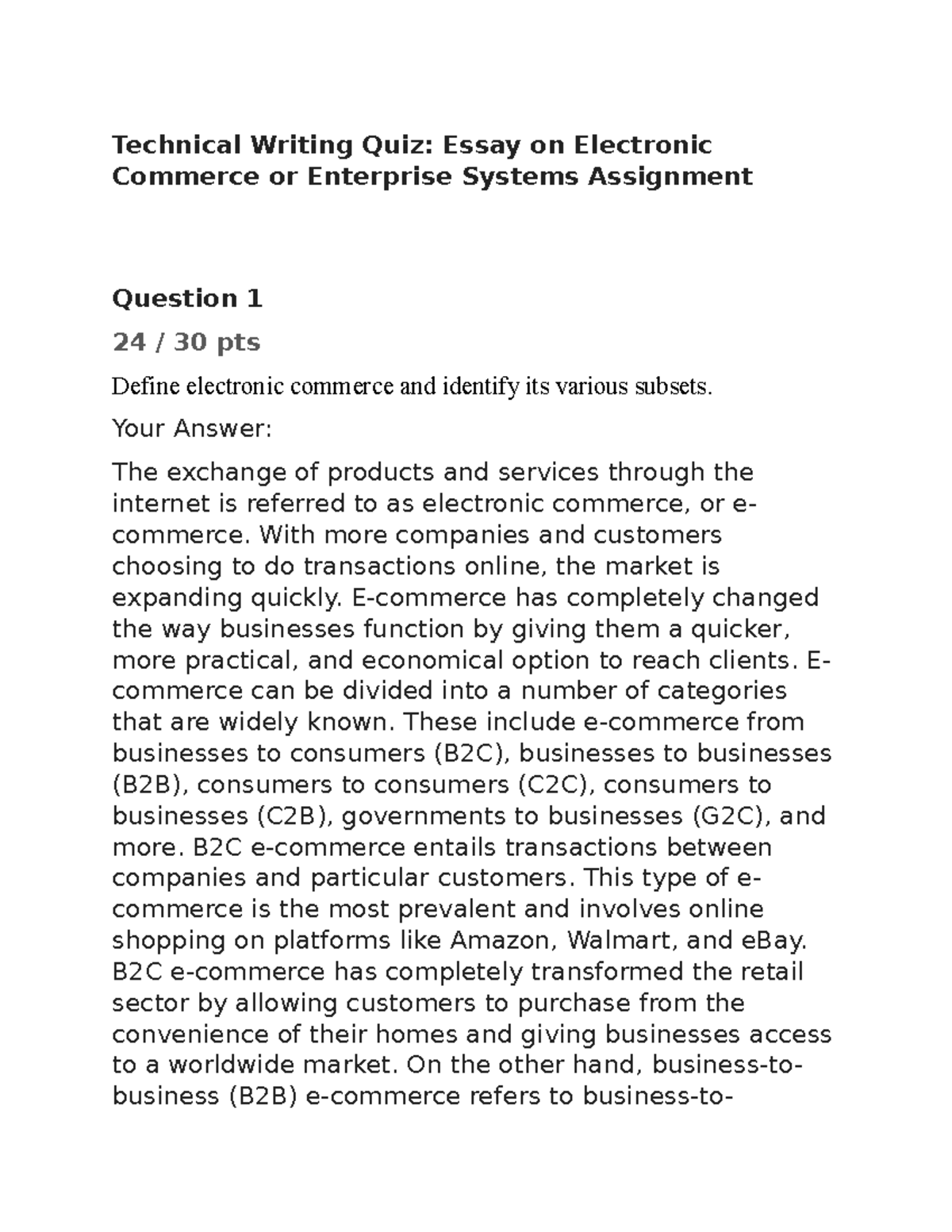 essay on electronic commerce or enterprise systems assignment