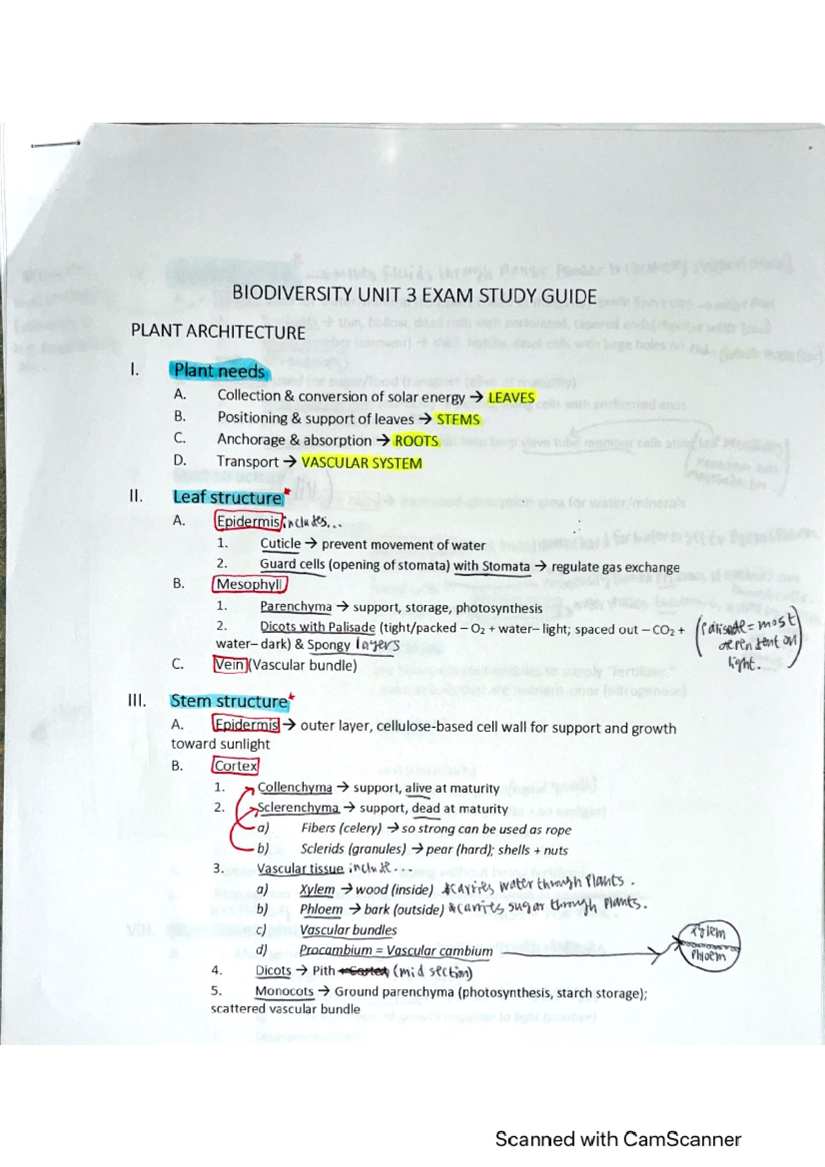 Exam 3 Study Guide Material - BSC 1011 - Studocu