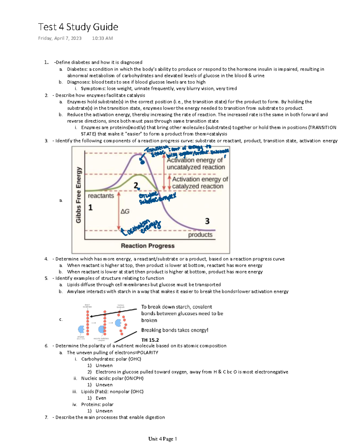 Test 4 Study Guide - Define diabetes and how it is diagnosed Diabetes ...