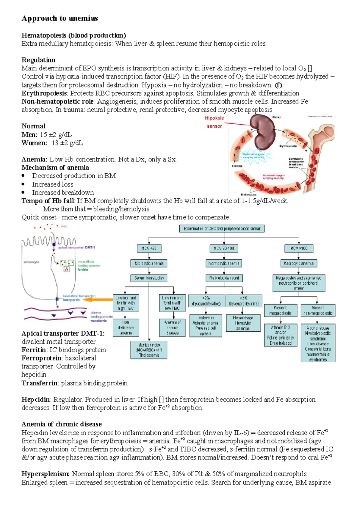 Hema - Summary Medicine - Approach to anemias Hematopoiesis (blood ...