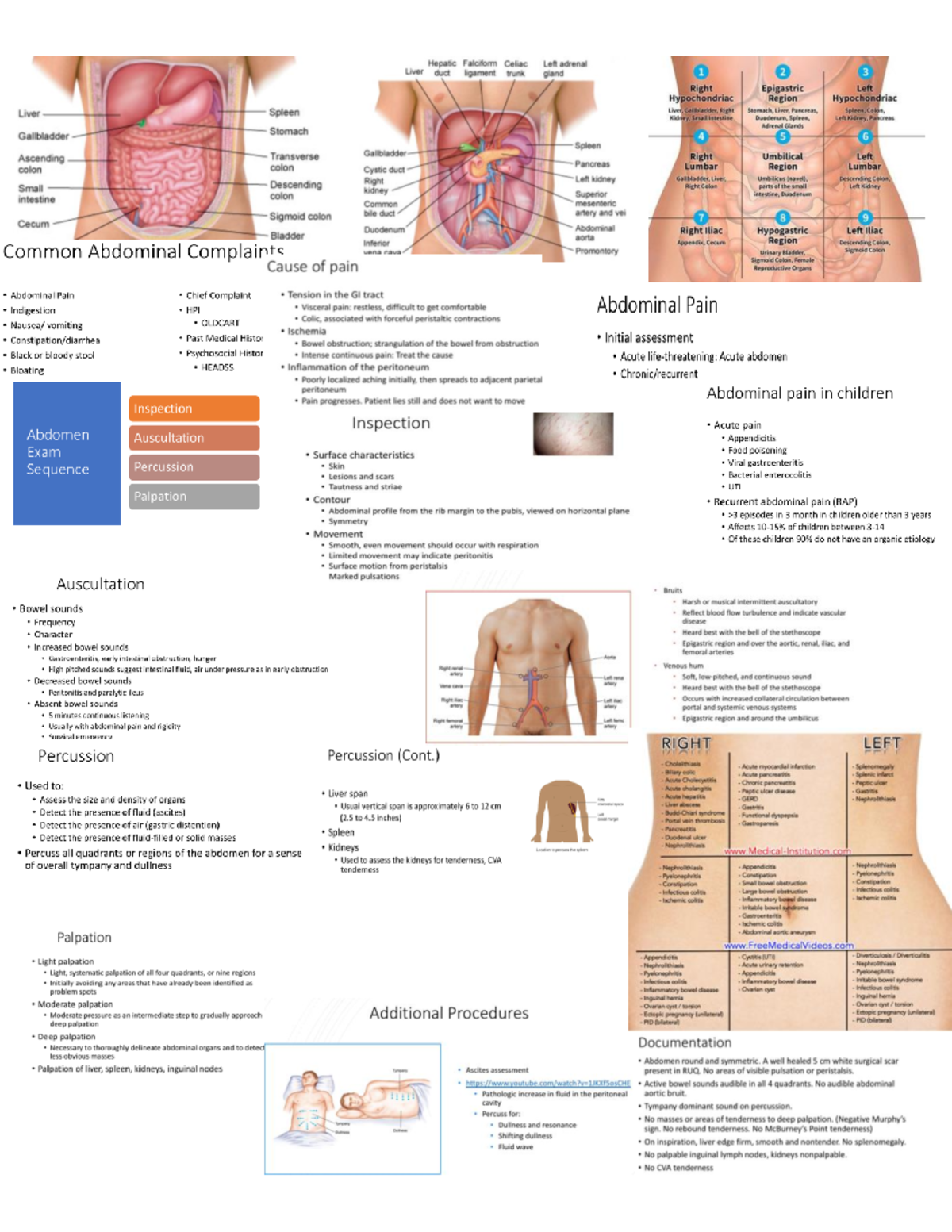 Abdominal assessment notes - Hepatic Falciform Celiac Left adrenal ...