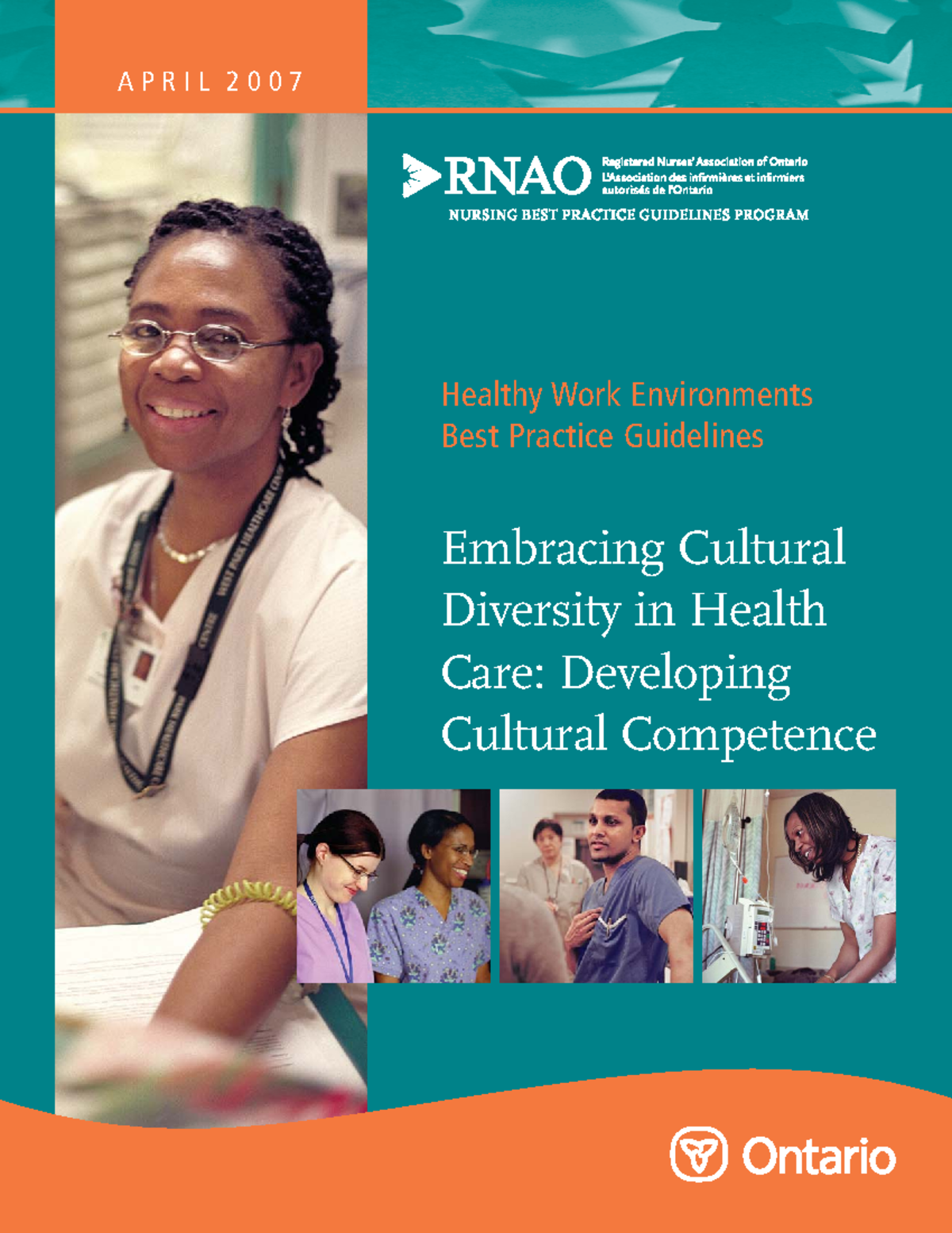 Embracing Cultural Diversity in Health Care - Developing Cultural ...