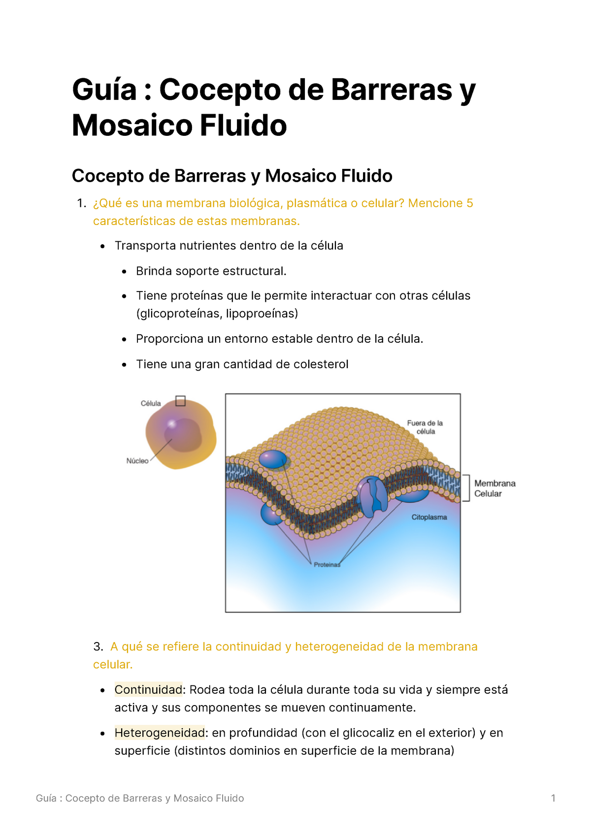Concepto de barreras y mosaico fluido - Transporta nutrientes dentro de la  célula Brinda soporte - Studocu