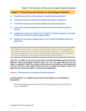 Ch 14 Mendelian Genetics Active Reading Guide - Chapter 14: Mendel And ...