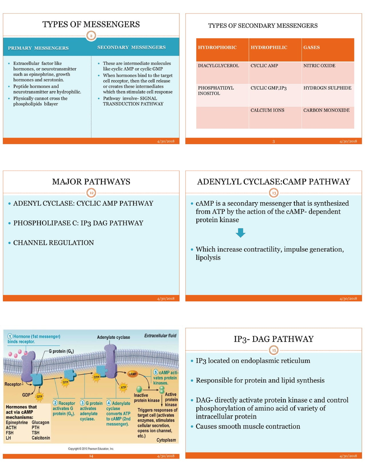 Secondary Messengers And Intracellular Signaling Pathways 2 Bachelor Of Ayurveda Medicine And