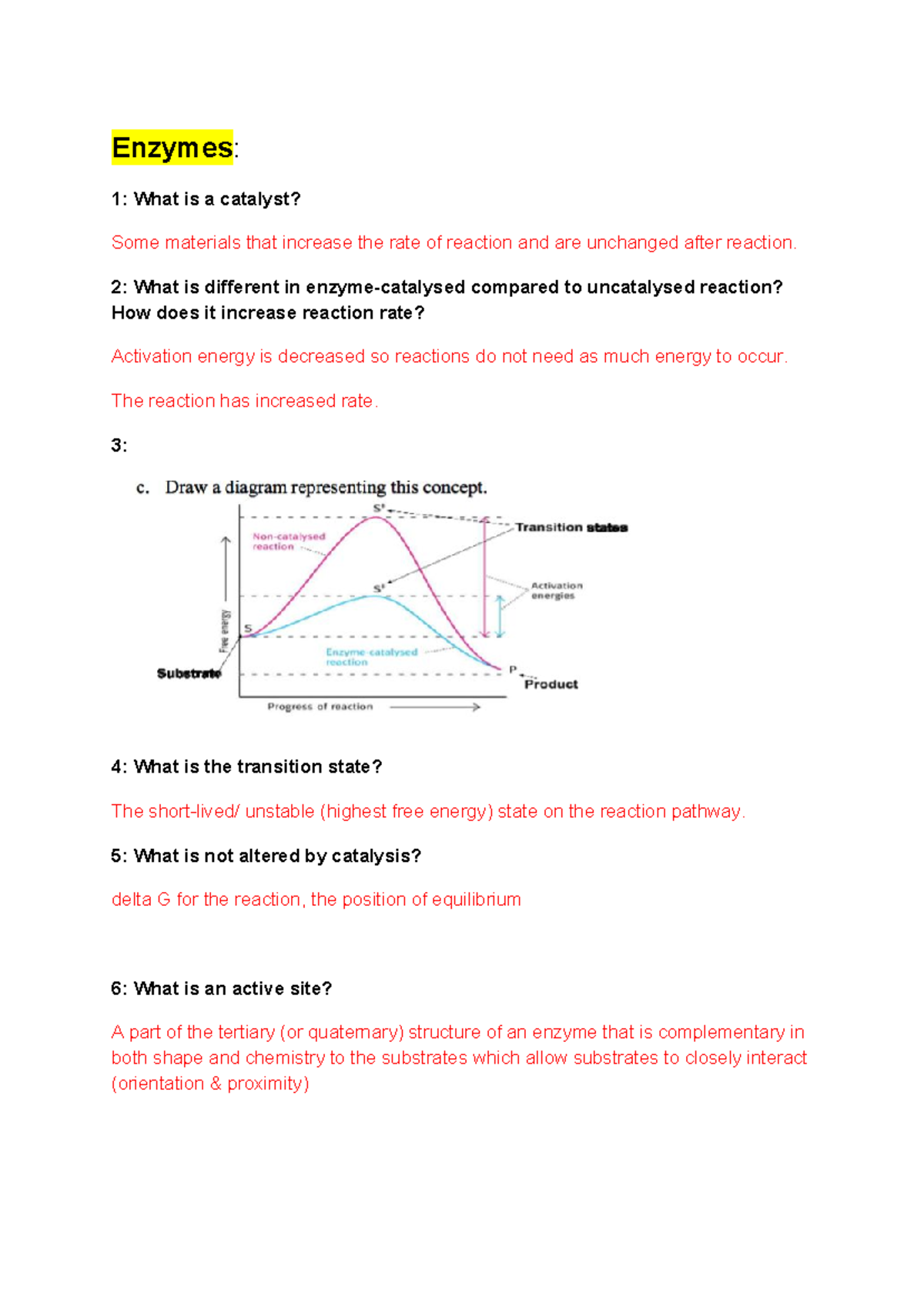 Biochem practise questions Enzymes 1 What is a catalyst? Some
