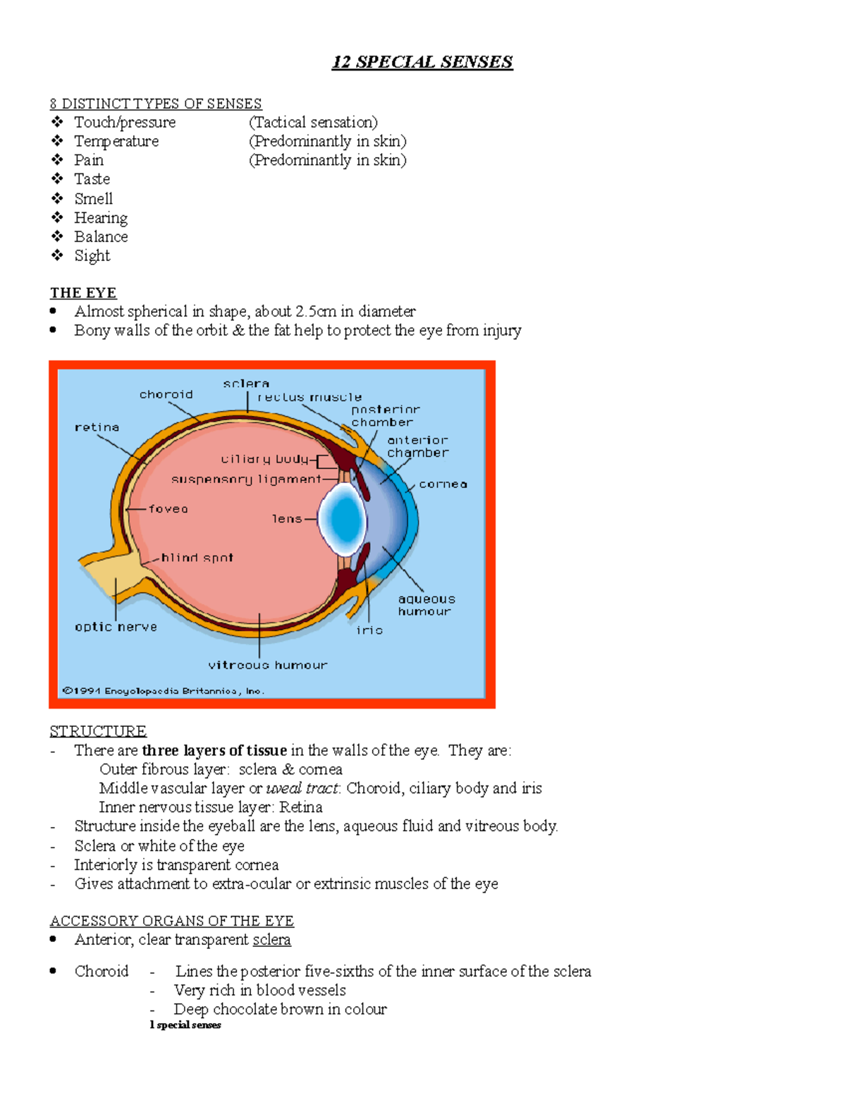 12 Special Senses - Information tech and nursing - 12 SPECIAL SENSES 8 ...