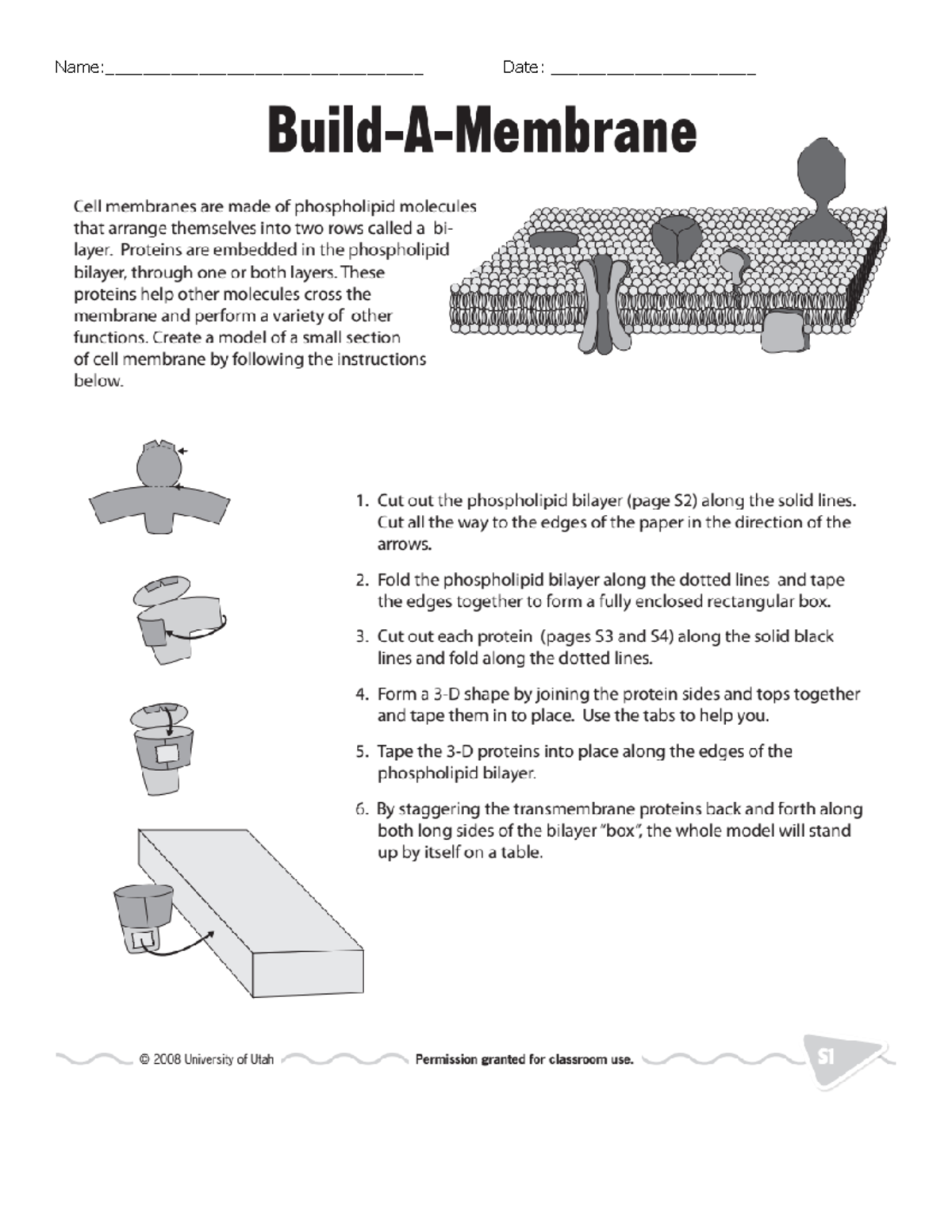 Build a Membrane - Lipids - Nursing - Name ...