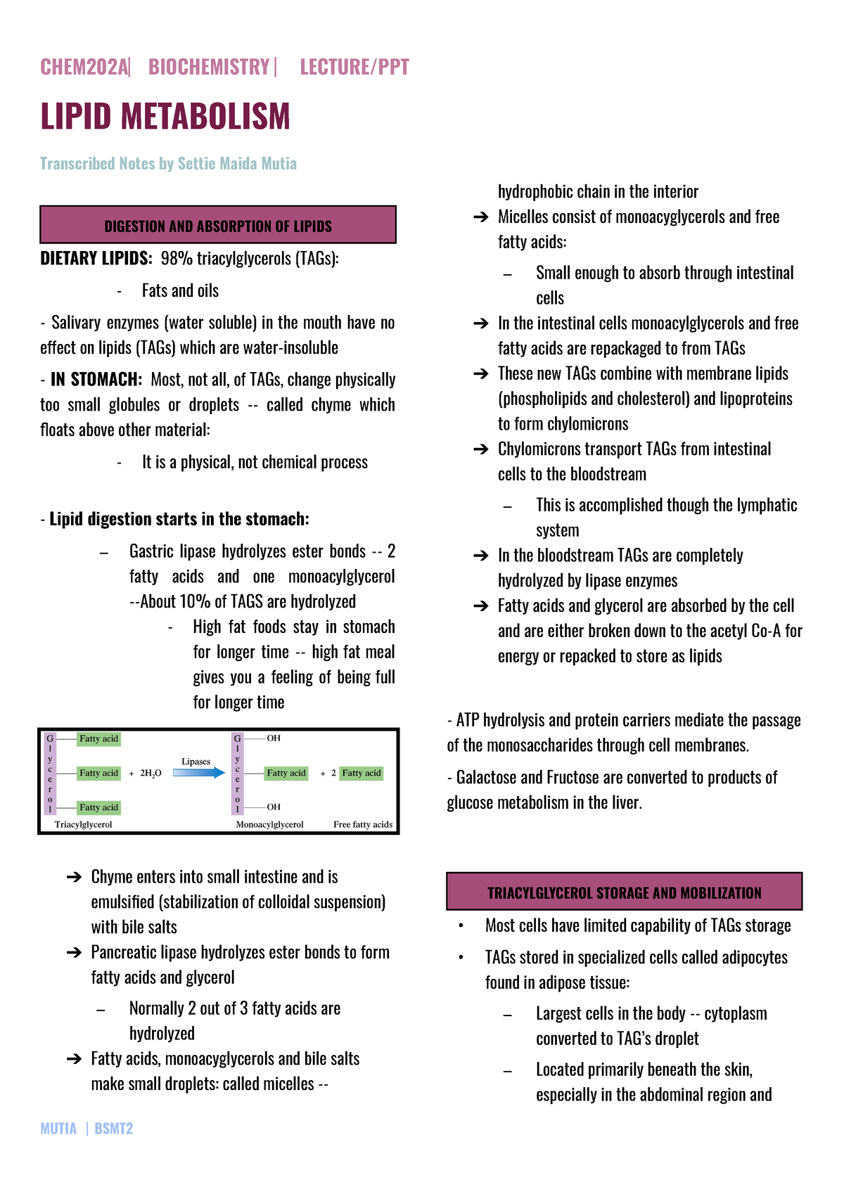 Biochem- Transes Lipid- Metabolism - LIPID METABOLISM Transcribed Notes ...