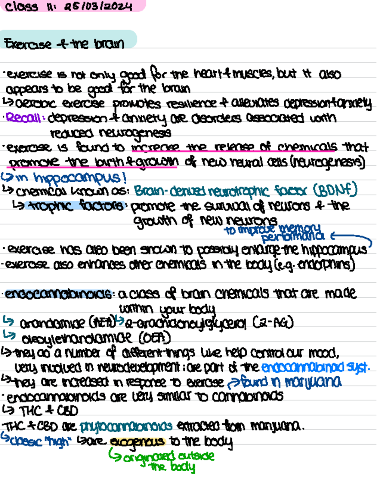 Class 11 lecture notes- march 25 2024 - class 11 : 25/03/ Exercise ...