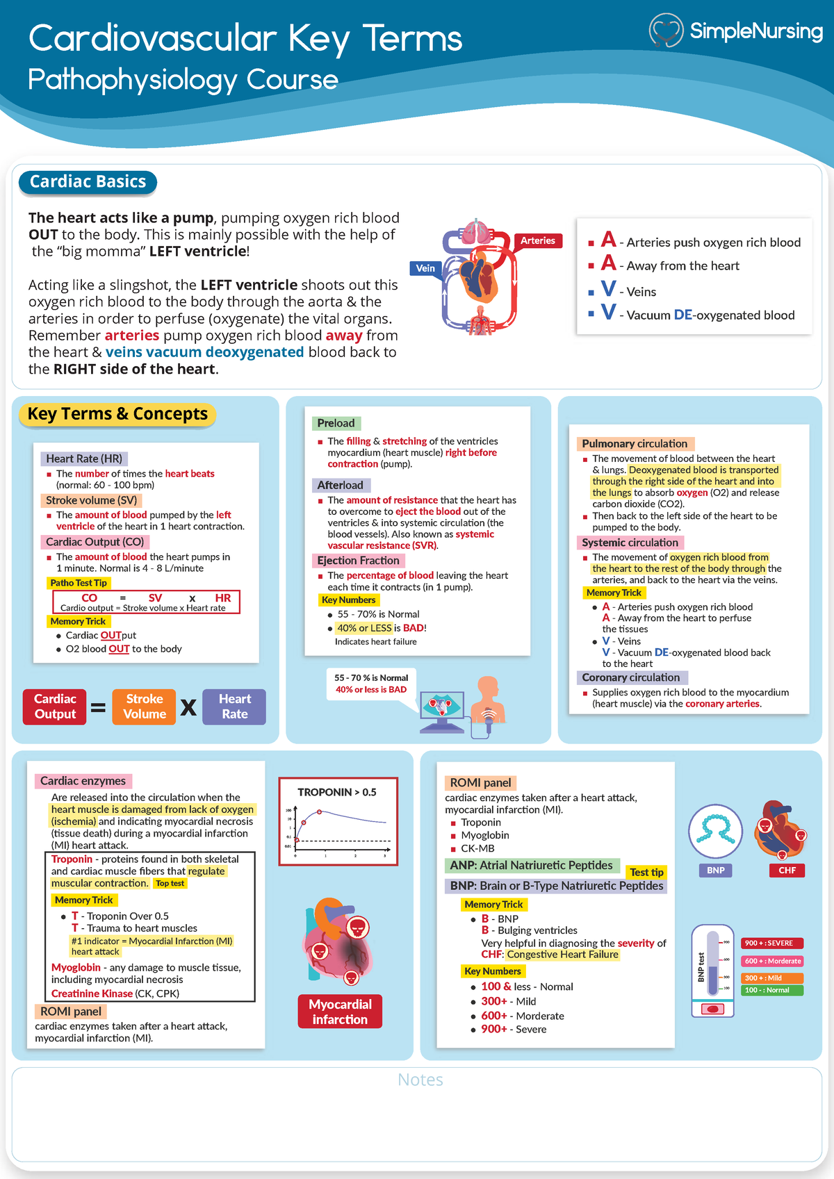 Cardiovascular Key Terms Simple Nursing NRN12 RCC Studocu