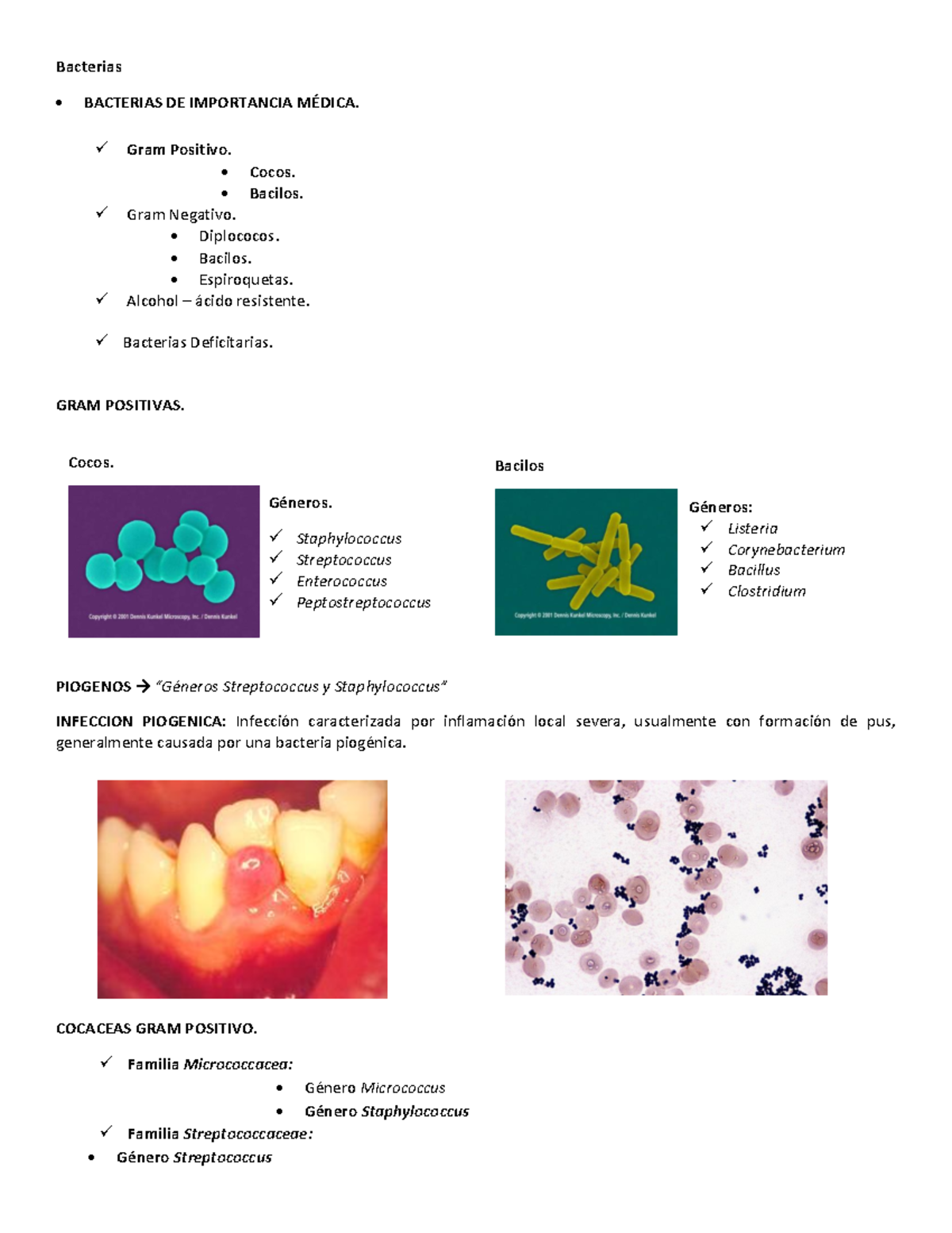 Bacterias DE Importancia Médica Bacterias BACTERIAS DE IMPORTANCIA MÉDICA. Gram Positivo
