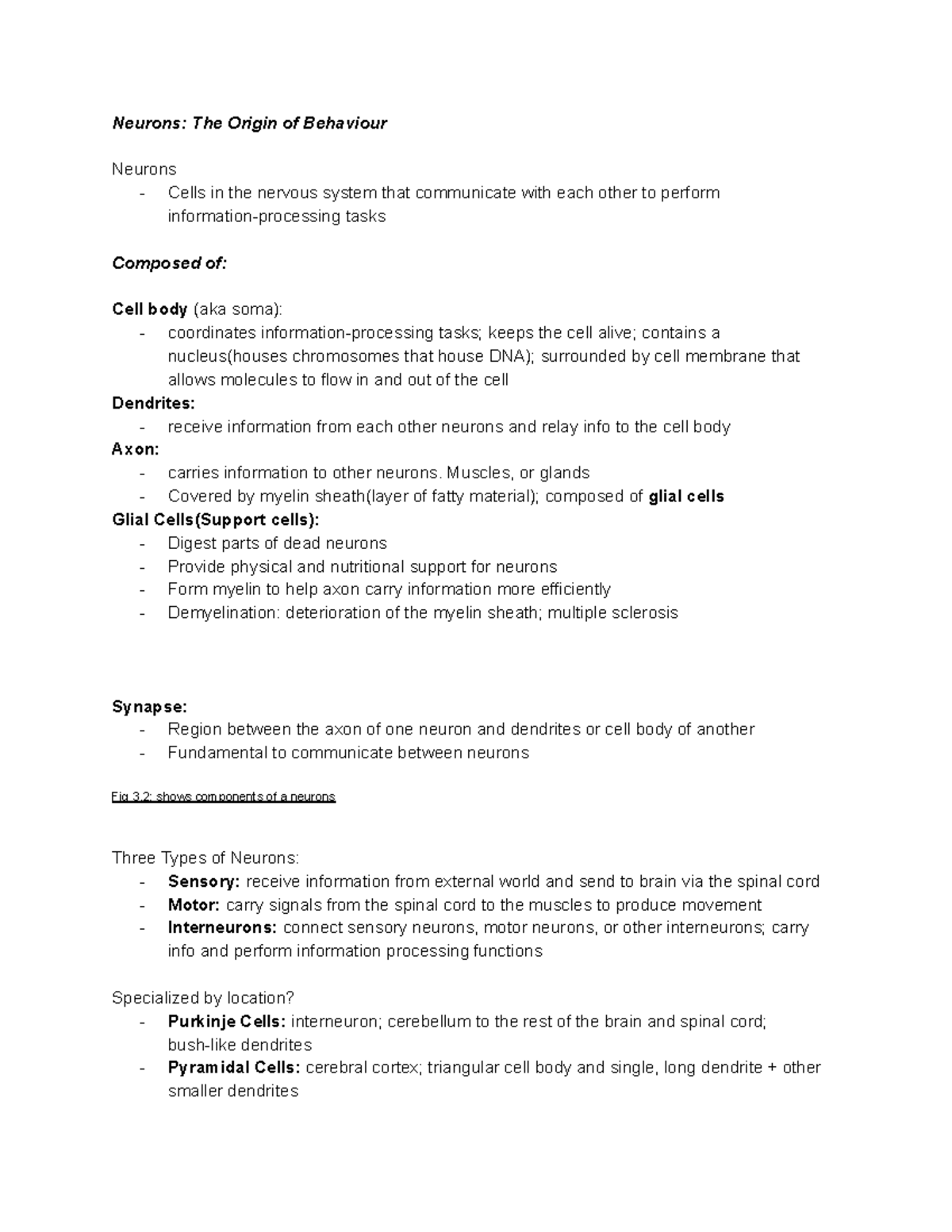 Psychology 111 Notes 13-14 - Neurons: The Origin of Behaviour Neurons ...