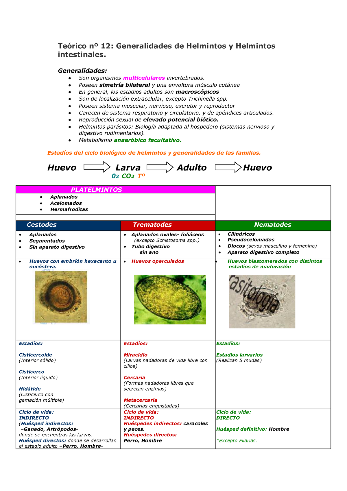 Helmintos Resumen Microbiolog A Te Rico N Generalidades De Helmintos Y Helmintos Studocu