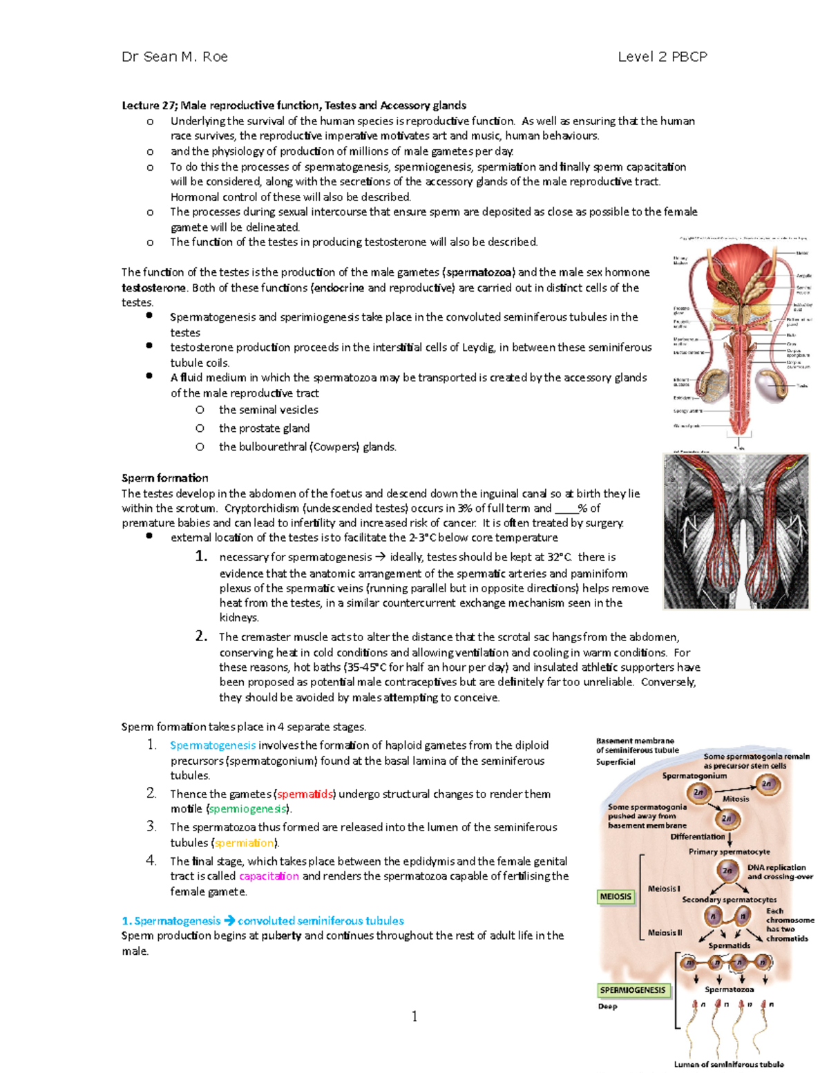 Male Reproduction - Lecture 27; Male reproductive function, Testes and ...