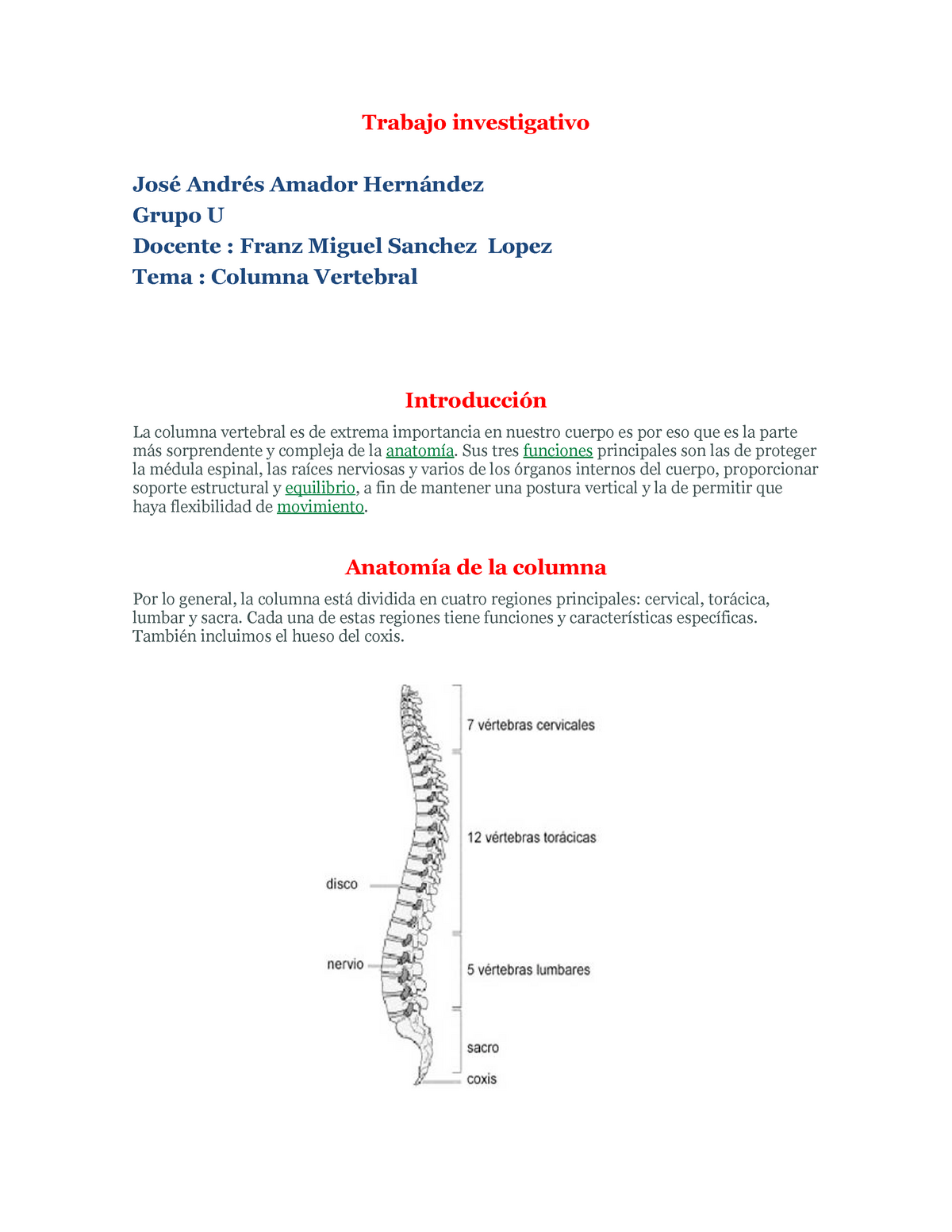 LBYLYH La Columna Lumbar, los Nervios, Incluye un Soporte, un