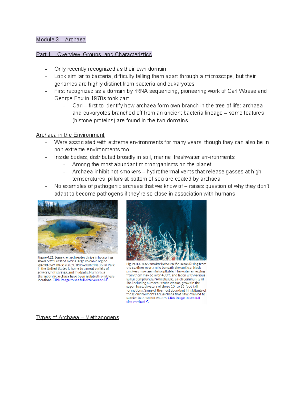 BIOL 240 Module 3 – Archaea - Module 3 – Archaea Part 1 – Overview ...